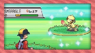 [Safari Week] Live Shiny Smeargle in the Safari Zone After Only 628 REs! (Pokémon SoulSilver) screenshot 3