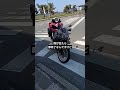 津軽のフェリー乗り場に熊出たらしい