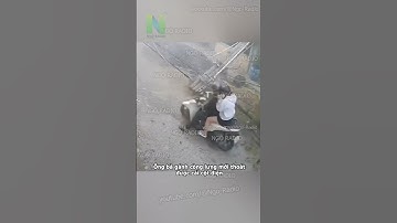 Cặp đôi được ông bà gánh còng lưng