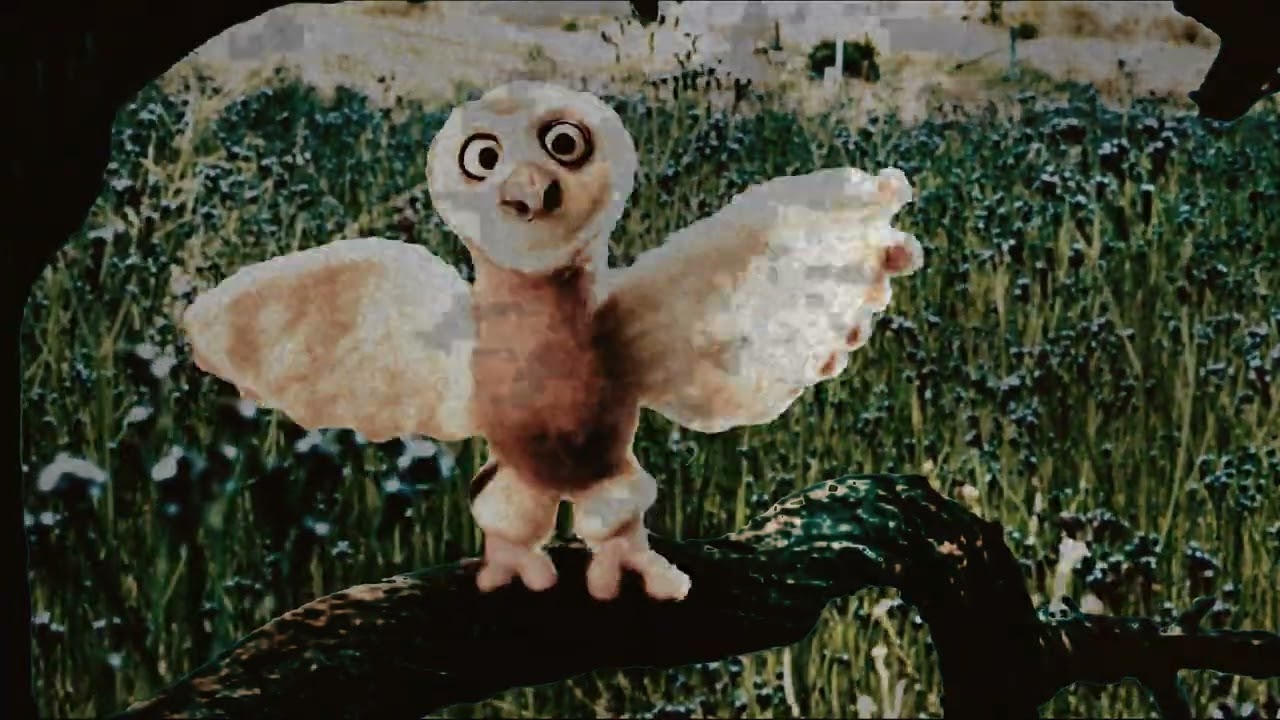 Dooms Day -  A short film by Justine Wahlin