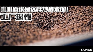 你绝对没见过的咖啡生产过程!VLOG² 18