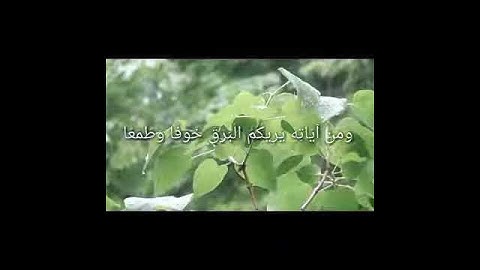 حالات واتس اب قصيرة تلاوة قران بصوت عذب للقارئ ماهر المعيقلي #واتس #دينية #تلاوة #حالة