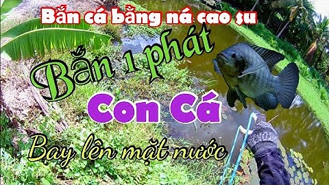 Bắn cá - Bắn cá rô phi bằng ná cao su.