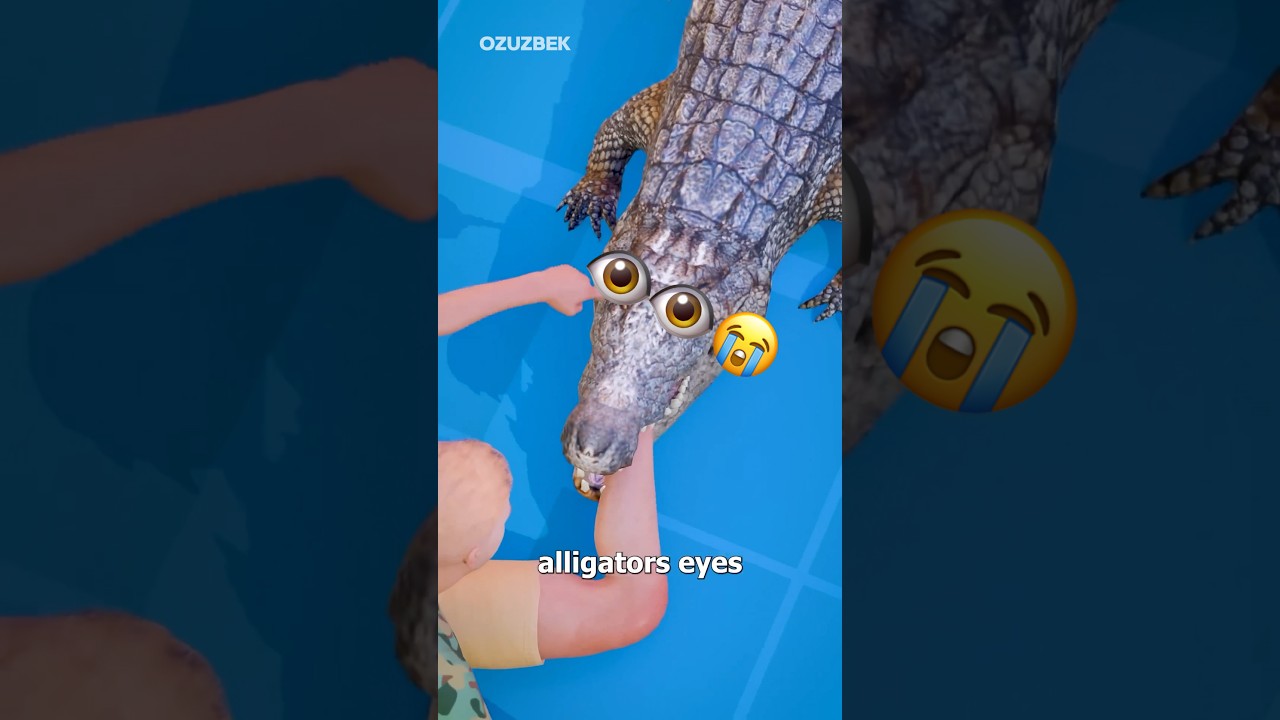 Aллигатор Ўлим Рўйхатидан Қандай Қутулиш Мумкин 😨