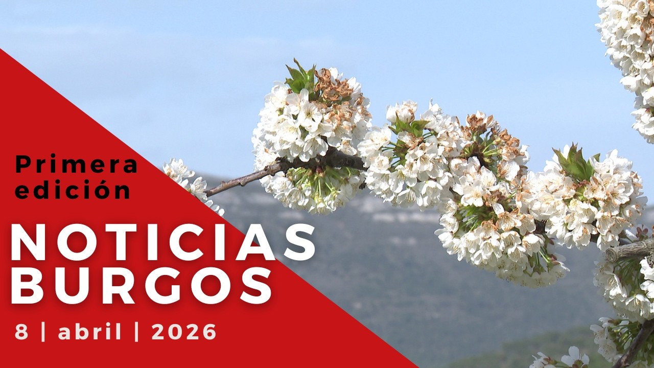 NOTICIAS 8 PRIMERA EDICIÓN | 08 04 26