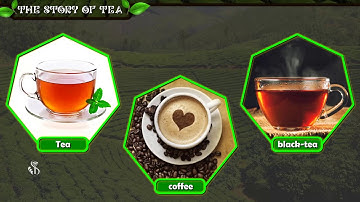 9th English | Chapter#4 | Topic#1| Introduction and Explanation | Marathi Medium