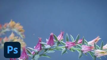 How to Remove Distracting Elements using the enhanced Content Aware Tools in Photoshop CC | Adobe