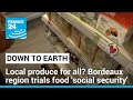 Local and organic food for all? Bordeaux region trials food &#39;social security&#39; • FRANCE 24 English