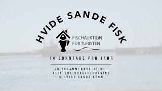 Hvide Sande Turisten Fischauktion