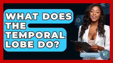 What Does The Temporal Lobe Do? - Psychological Clarity