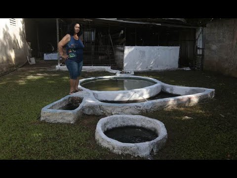 Biogas Spreads Among Cuban Families as an Alternative Energy