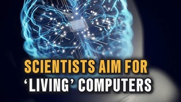 Scientists want to build 