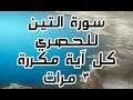 سورة التين للقارئ محمود خليل الحصري كل آية مكررة ٣ مرات للحفظ سورة التين للقارئ محمود خليل الحصري كل آية مكررة ٣ مرات للحفظ
