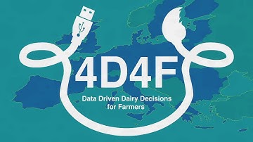 4D4F Project - Video