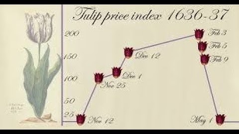 The Bitcoin Tulip-Trust Lawsuit