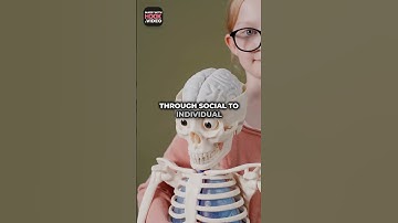 How do you apply Vygotsky to a case study #vygotsky #zpd #learningtheories #casestudy