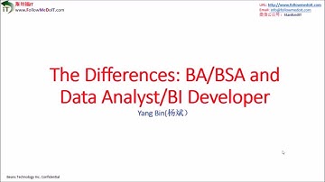 Yang Bin(杨斌）：IT求职，别混淆Business System Analyst(BA/BSA)和Data Analyst, 什么是BA/BSA？什么是Data Analyst?？