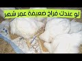 لو فراخك عندها شهر ووزنها ضعيف يبقي لازم نعمل ليهم الحاجات دى ونوفر المصاريف زيادة الأوزان كبيرة جدا