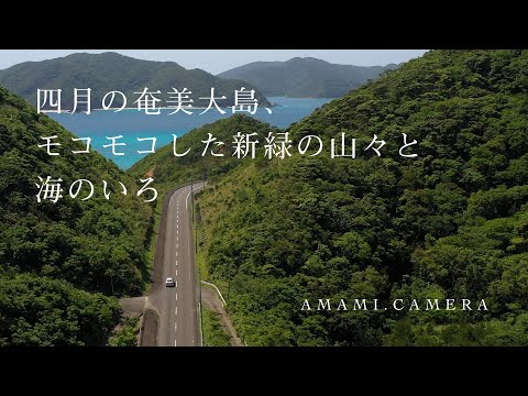 四月の奄美大島、モコモコした新緑の山々と海のいろ - 奄美大島 龍郷町（ドローン空撮 4K）