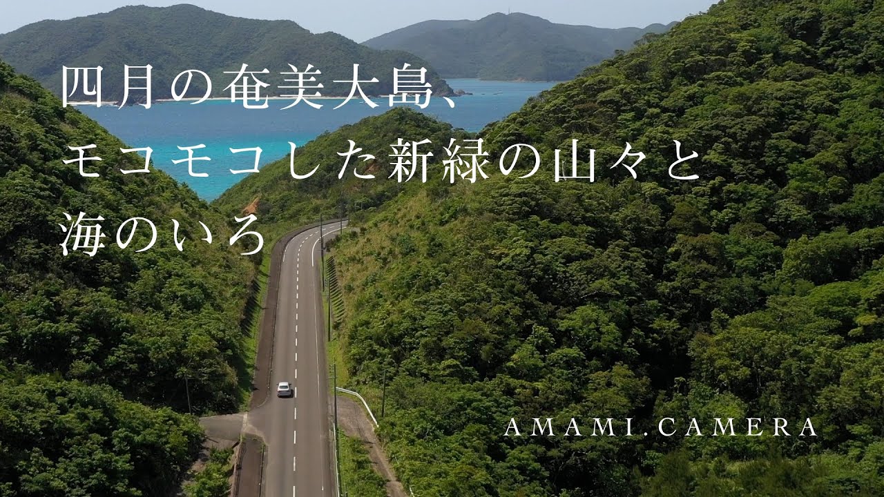 四月の奄美大島、モコモコした新緑の山々と海のいろ - 奄美大島 龍郷町（ドローン空撮 4K）