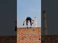 Part 1 Bricks are thrown from above