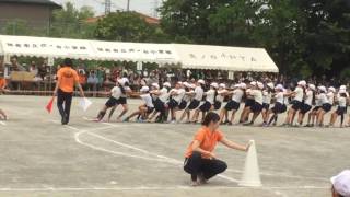 あゆ 綱引き 運動会