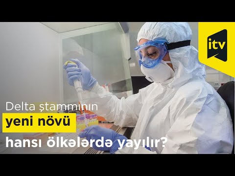 Video: Hansı ölkələrdə Siesta Var