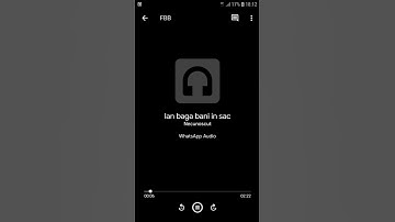 Ian - baga banii în sac - snippet