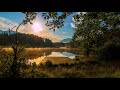 Piano Peaceful Music Relaxing Morning Meditation Stress Relief Forest Birds Weather Ambient 4K 1Hour