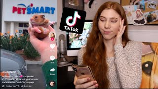 Reacting to TIK TOK Hamster videos