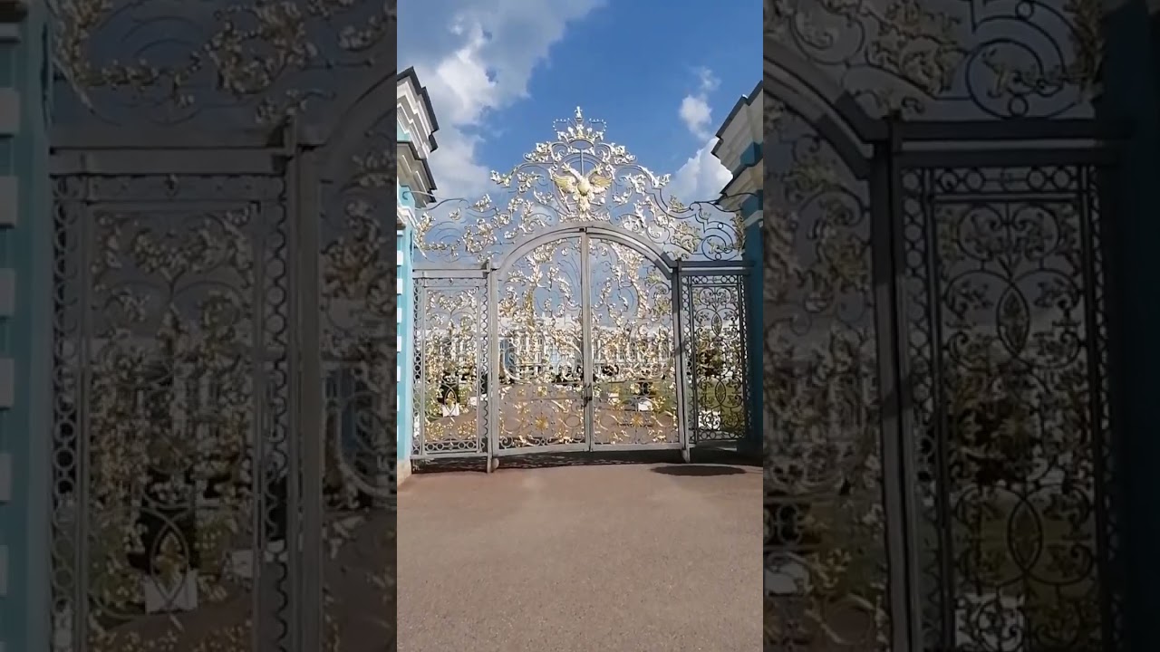 #горшеневцой