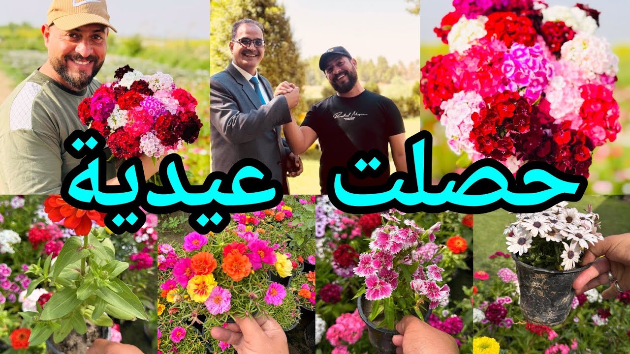 حصلت عيدية نباتات مميزة من ابو حيدر جولة حديقة  ابو عبد الرحمن ادمن عالم الزراعة والنباتات المنزلية