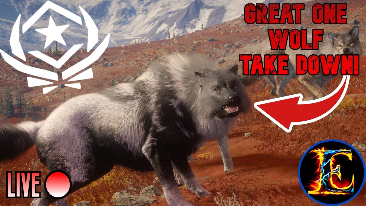 ITS TIME!!! WE ARE TAKING DOWN THE GREAT ONE GRAY WOLF!!! | LIVE |