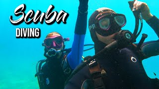 I Went Scuba Diving In Gibraltar