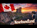 Signal Hill, Newfoundland 🇨🇦 — The Most Epic Cliff Walk in St. John’s