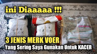 3 JENIS MERK VOER YANG SERING SAYA BERIKAN KE KACER