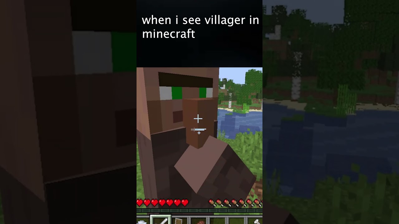 Villagers Run When They See Me #minecraft #shorts