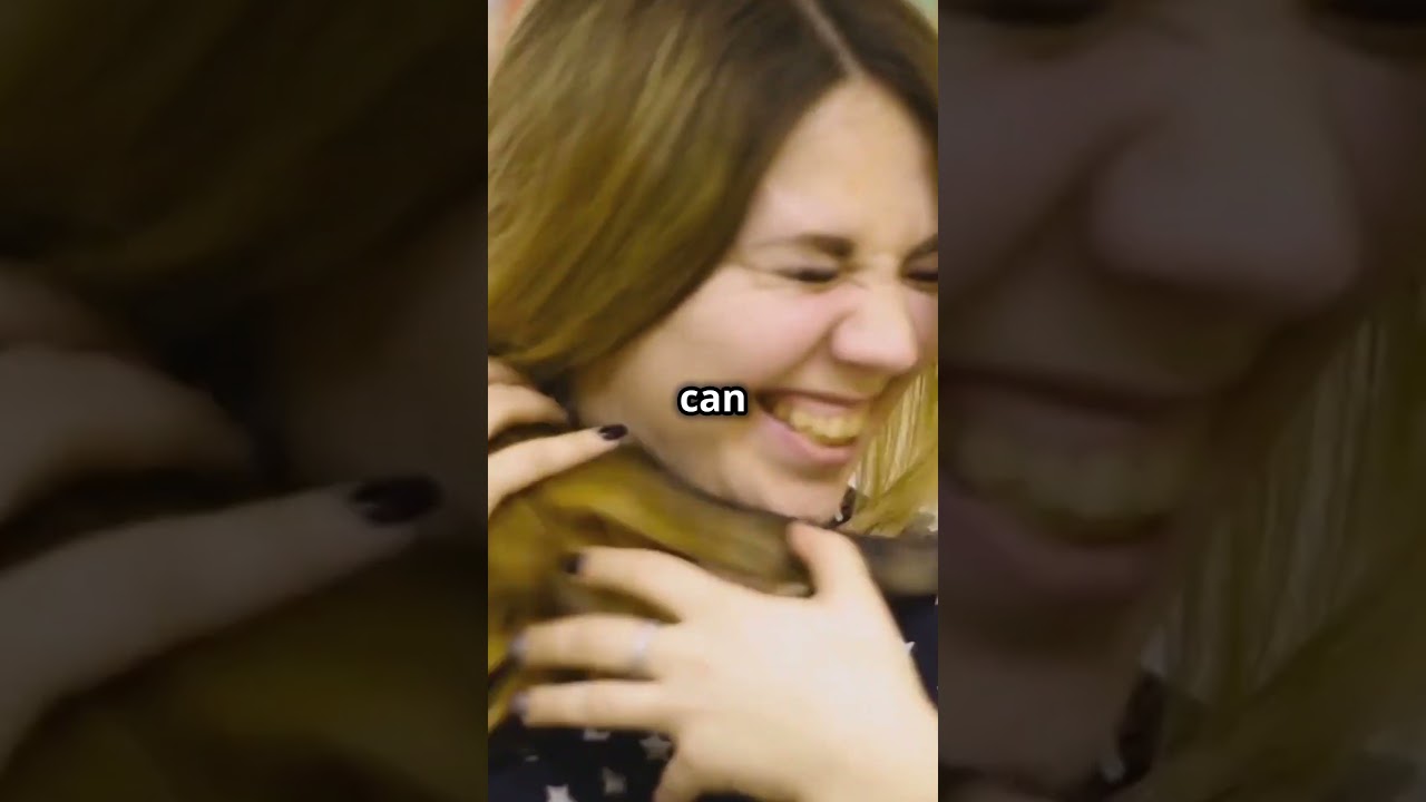 Do Pets Help with Stress?