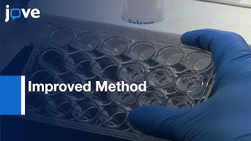 Method For Preparation Of Human Cell-Based, Contact Model Of Blood-Brain Barrier l Protocol Preview