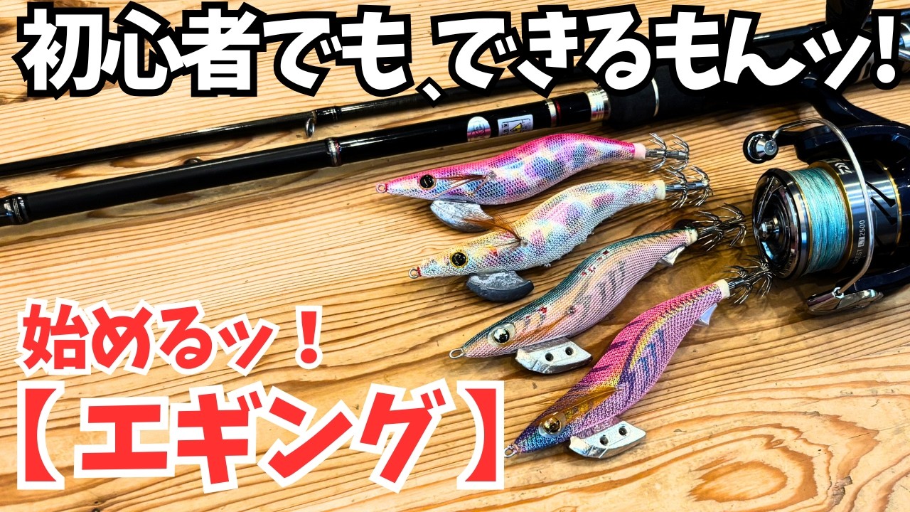 Fishing Beginners] How to Start Eging! [Good Value for Money