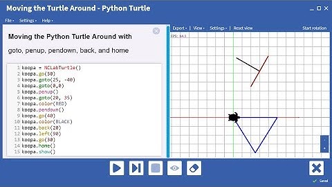 Moving the Turtle with goto, penup, pendown, back, home