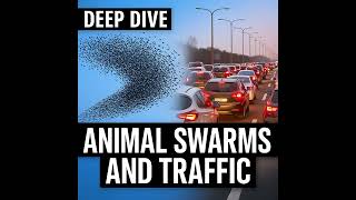 Thumbnail for The Hidden Logic of the Swarm: What Animals Teach Us About Traffic, Teams & Decision-Making