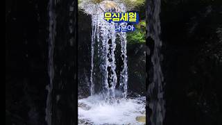 #나훈아 -무심세월 #가황나훈아 #shorts