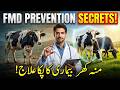 FMD Livestock Protection Guide 2026