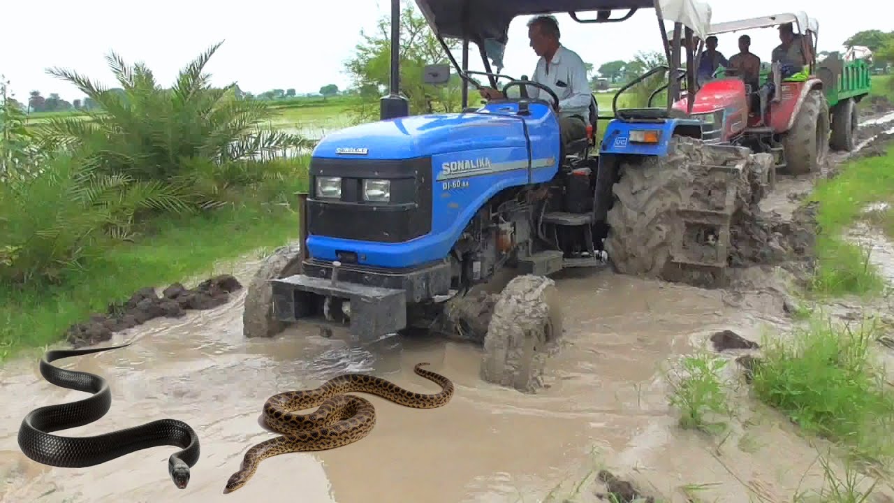 Snakes comes | Mahindra Arjun NOVO 605 Di-i Stuck again in Mud Pulling By Sonalika 60 Rx
