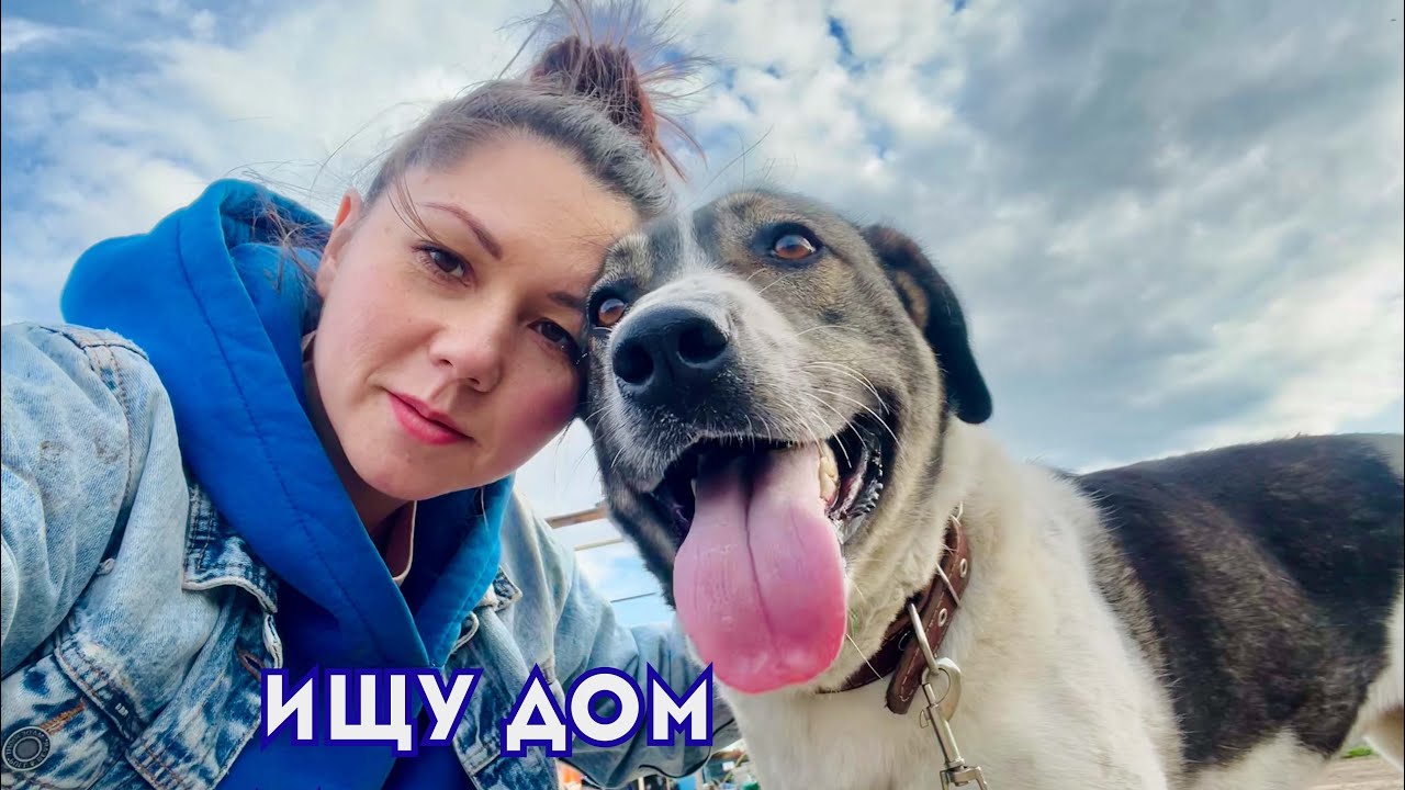 ГЕРДА | собачка в добрые руки