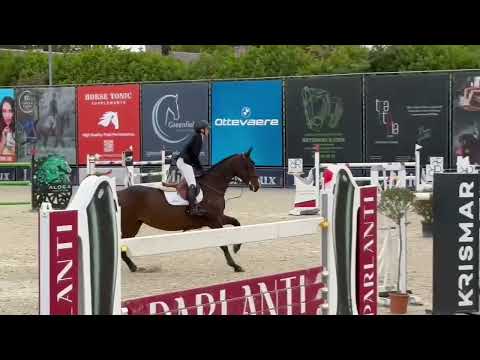 Criquet des I'isle 145 Grand Prix CSI2* Bonheiden