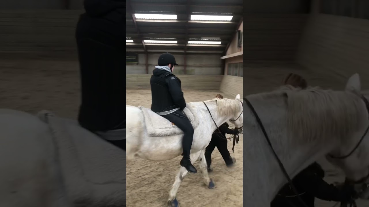 Langes&oslash; egnens rideklub lavet til handicappede b&oslash;rn