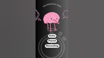 The Enigmatic Echo | Brain Burst Riddles  #riddles #brainteasers #mindgames