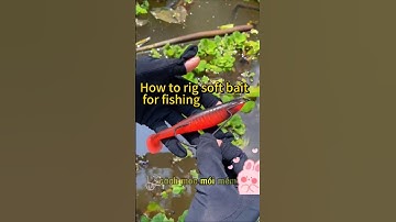Cách móc mồi mềm câu cá